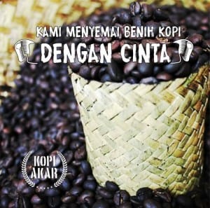 14953883_162209070911221_4876326874140789759_n